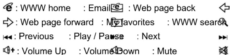 e : WWW home : Email:e : Web page back →: Web page forward : My favorites : WWW search ◀: Previous : Play / Pause : Next ◀+: Volume Up : Volume Down : Mute