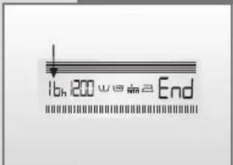 16h 200 w/8.52 End