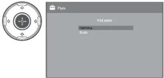 Plats V4E plate Gamma Bulk
