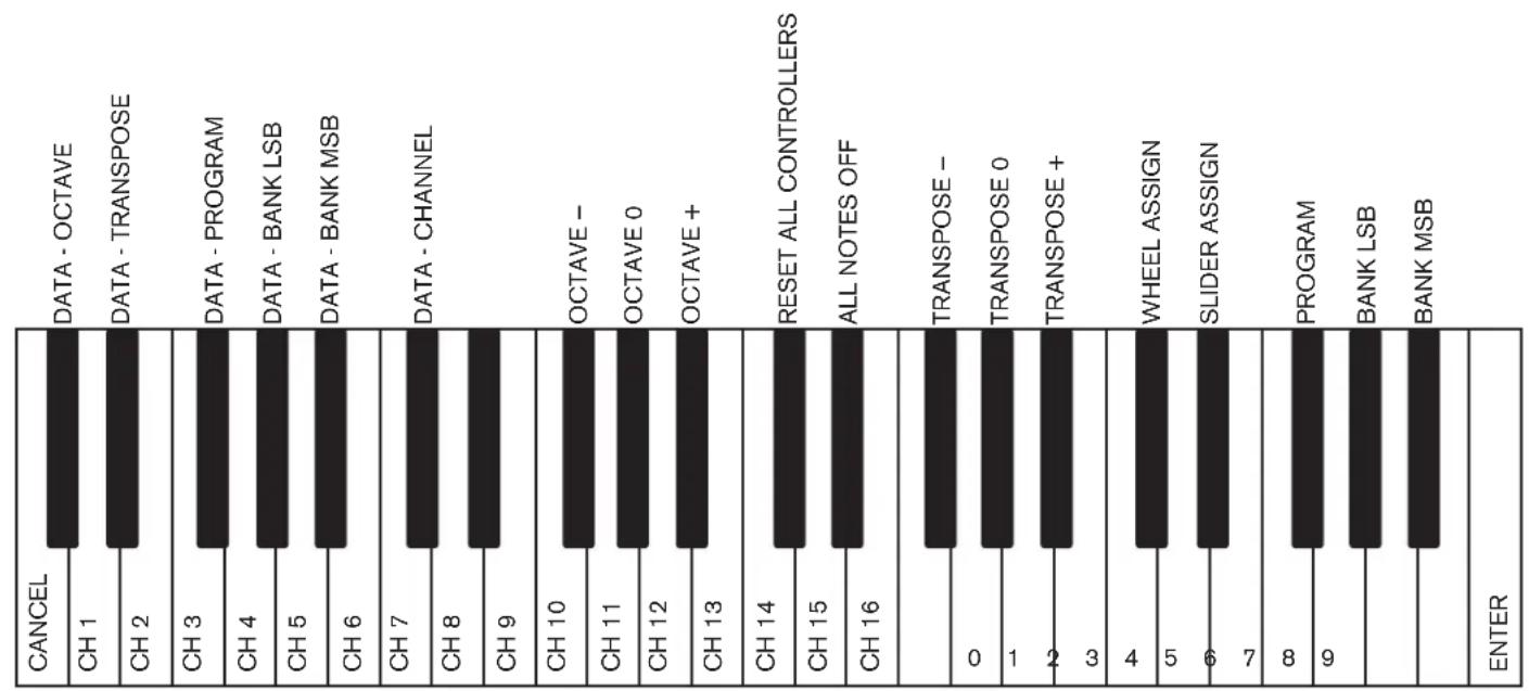 PINNACLE KeyRig 49 - Advanced KeyRig 49 Features in Edit Mode - 2