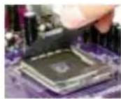 ECS 865-M7 (V1.1) - CPU Installation Procedure - 1