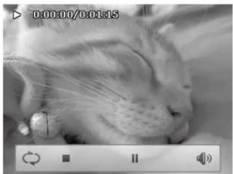 Close-up of a fluffy tabby cat sleeping on a surface, captured in grayscale with no visible text or symbols.