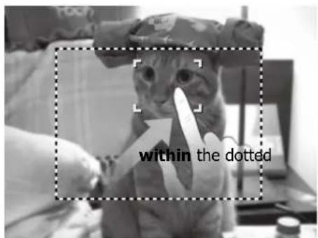 within the dotted