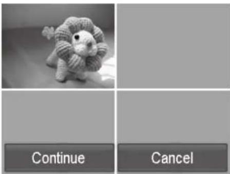 Continue Cancel