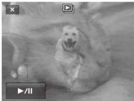 Black-and-white photo of a dog in motion, surrounded by foliage and grass (no visible text or symbols)