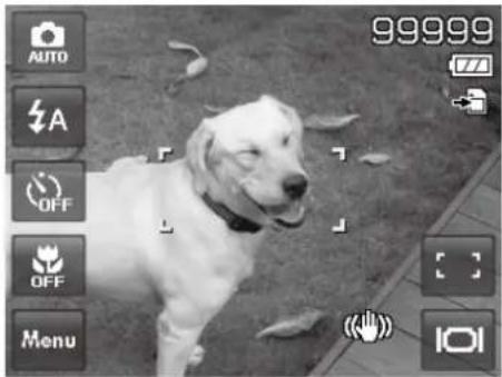 Black-and-white photo of a dog standing on grass with camera control buttons and settings (no readable text or symbols)