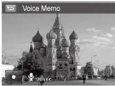 Voice Memo 30sec