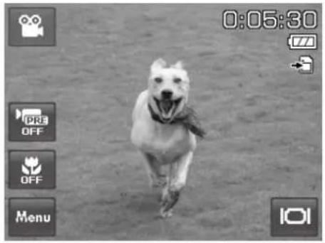 Black and white photo of a dog running on sandy ground, no visible text or symbols
