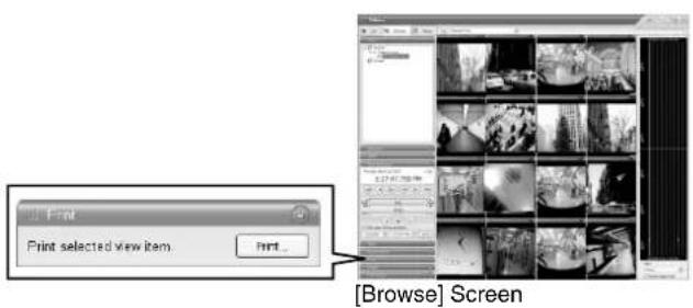 Print Print selected view item. [Browse] Screen