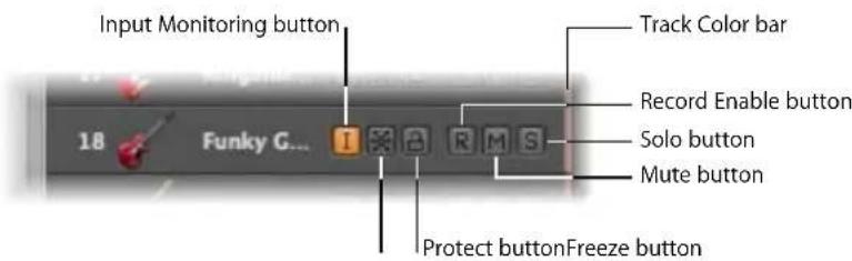 Input Monitoring button Track Color bar Record Enable button Solo button Mute button 18 Funky G... Protect buttonFreeze button