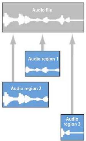 APPLE Logic Express 8 - Audio Regions and Audio Files - 1