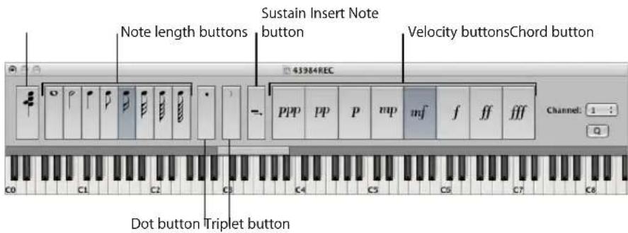 Note length buttons Sustain Insert Note button Velocity buttonsChord button 4J3864REC -. ppp pp P mp mf f ff ffff Channel: 1 : Q C0 C1 C2 C3 C4 C5 C6 C7 C8 Dot button Triplet button