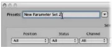 Presets: New Parameter Set 21 Position Status Channel All All All