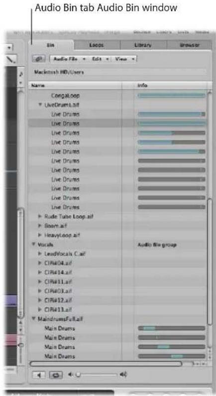 Audio Bin tab Audio Bin window Macintosh HD/Users Name Info Congaloop LiveDrums.tif Live Drums Live Drums Live Drums Live Drums Live Drums Live Drums Live Drums Live Drums Live Drums Live Drums Rude Tube Loop.tif Boom.tif HeavyLoop.tif Vocals Audio file group LeadVocals C.tif CIR#04.tif CIR#14.tif CIR#11.tif CIR#03.tif CIR#12.tif CIR#11.tif MaindrumsFull.tif Main Drums Main Drums Main Drums
