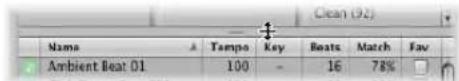 APPLE Logic Express 8 - To adjust the size of window elements: - 1