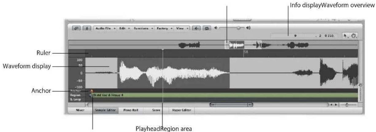 Info displayWaveform overview Audio File Edit Functions Factory View Ruler 100 50 Waveform display 0 -50 -100 Anchor Region S. Loop Std Var & Heavy 4 Mixer Sample Editor Piano Roll Score Hyper Editor PlayheadRegion area