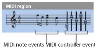 MIDI region MIDI note events MIDI controller event