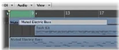 DI Audio View Mute Muted Electric Bass Rock Kit Muted Electric Bass