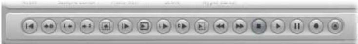 Screenshot of a media player control interface with playback buttons and playback controls
