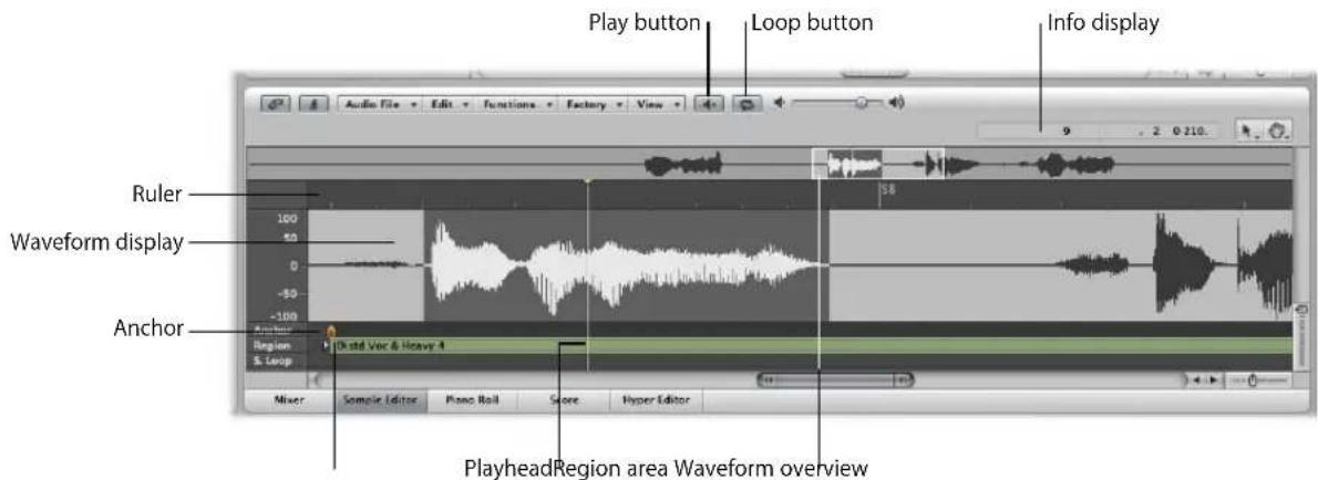Play button Loop button Info display Audio File Edit Functions Factory View 9 2 0 210... Ruler Waveform display Anchor Region S. Loop Mixer Sample Editor Piano Roll Score Hyper Editor PlayheadRegion area Waveform overview