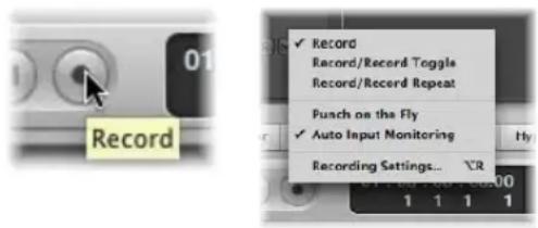 Record Record/Record Toggle Record/Record Repeat Punch on the Fly Auto Input Monitoring Recording Settings... YR