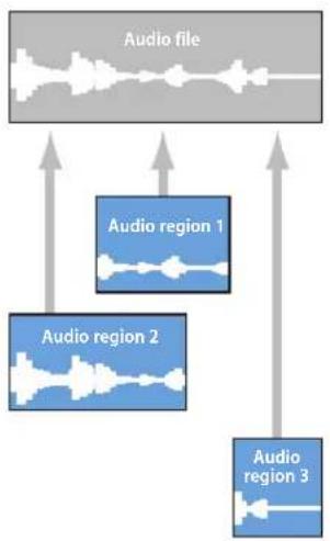 APPLE Logic Express 8 - Audio Regions and Audio Files - 1