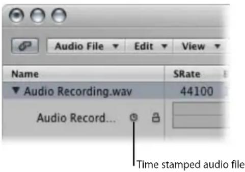 Audio File Edit View Name SRate Audio Recording.wav 44100 Audio Record... Time stamped audio file