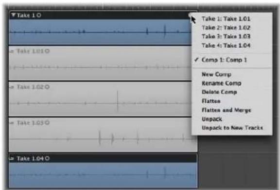 Take 1.0 Take 1: Take 1.01 Take 2: Take 1.02 Take 3: Take 1.03 Take 4: Take 1.04 ✓ Comp 1: Comp 1 New Comp Rename Comp Delete Comp Flatten Flatten and Merge Unpack Unpack to New Tracks Take 1.010 Take 1.020 Take 1.050 Take 1.040