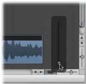 APPLE Logic Express 8 - To zoom the waveform of audio regions: - 1