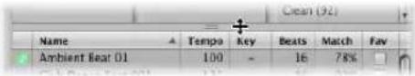 APPLE Logic Express 8 - Moving and Resizing Windows - 1
