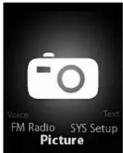 Voice Text FM Radio SYS Setup Picture