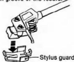 Stylus guard