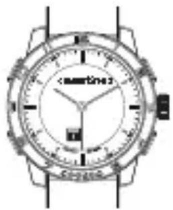 Cookoo Watches CK20-003-01 - Calendar and Reminder alerts - 1