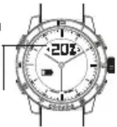 2024
