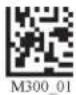 Code Corporation Reader 2.0 - - Micro PDF417 Symbology - 2