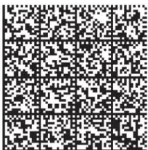 Black and white QR code image with faint grid lines, no readable text or symbols beyond the matrix pattern