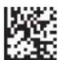 Code Corporation Reader 2.0 - - Continuous Scan - Duplicate Scan Delay - 1