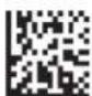 Code Corporation Reader 2.0 - - Continuous Scan - Trigger Delays - 2