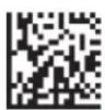 Code Corporation Reader 2.0 - Auto Transfer Buffer Memory - 2
