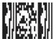 Code Corporation Reader 2.0 - - Micro PDF417 Symbology - 3