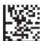 Code Corporation Reader 2.0 - - Maxicode Symbology - 1