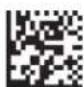 Code Corporation Reader 2.0 - - Continuous Scan - Duplicate Scan Delay - 3