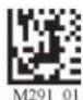 Code Corporation Reader 2.0 - - MSI Plessy Symbology - 1