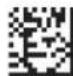 Code Corporation Reader 2.0 - - Mirror Decoding - 2