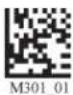 Code Corporation Reader 2.0 - - Micro PDF417 Symbology - 1