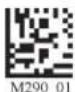 Code Corporation Reader 2.0 - - MSI Plessy Symbology - 2