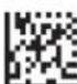 Code Corporation Reader 2.0 - - Mirror Decoding - 1