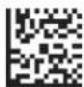 Code Corporation Reader 2.0 - - Continuous Scan - Trigger Delays - 1