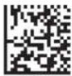 Code Corporation Reader 2.0 - 1-Dimensional Codes ONLY (1024 x 200 pixels) - 1