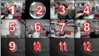 ACTi ECD-1000 - Changing the Window Layout - 5